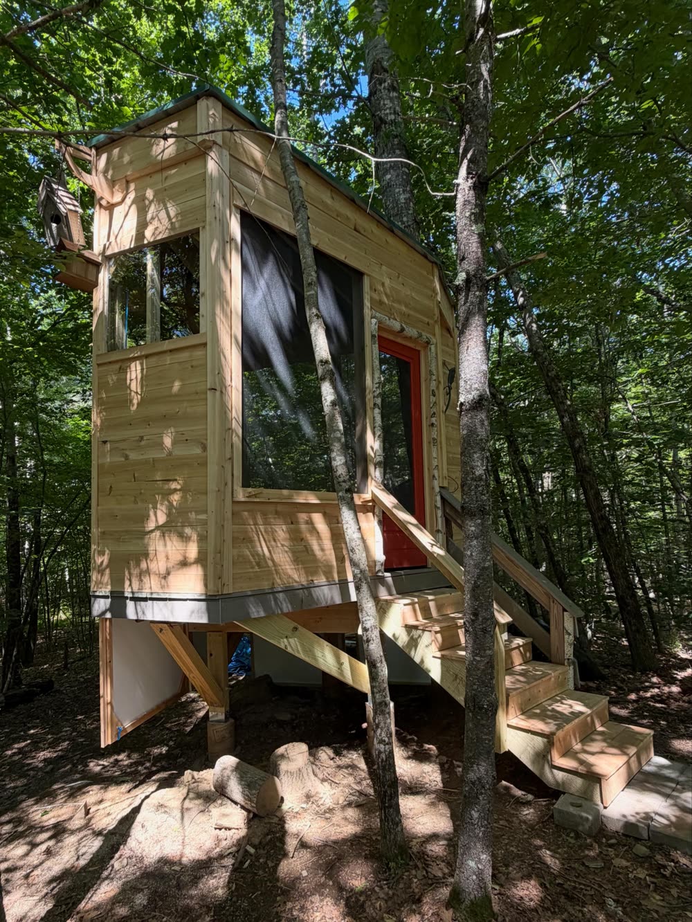 Treehouse on posts in the woods
